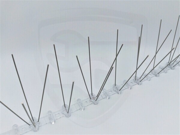 Голубині шипи kopen in Alkmaar bij Postma en Postma