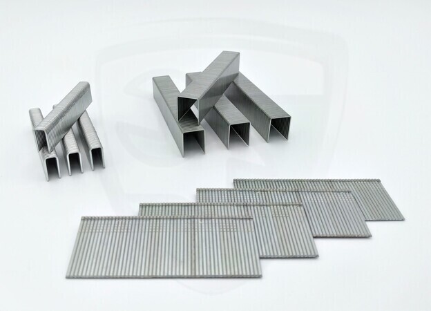 Стейпълс kopen in Alkmaar bij Postma en Postma