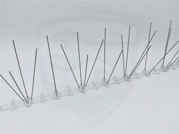 Голубині шипи kopen in Alkmaar bij Postma en Postma